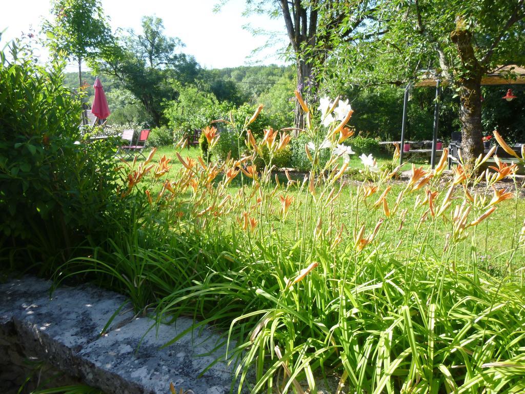 Au Mas De Gamet Bed & Breakfast Theminettes ภายนอก รูปภาพ