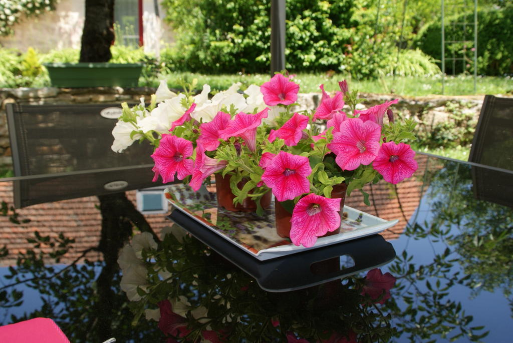 Au Mas De Gamet Bed & Breakfast Theminettes ภายนอก รูปภาพ